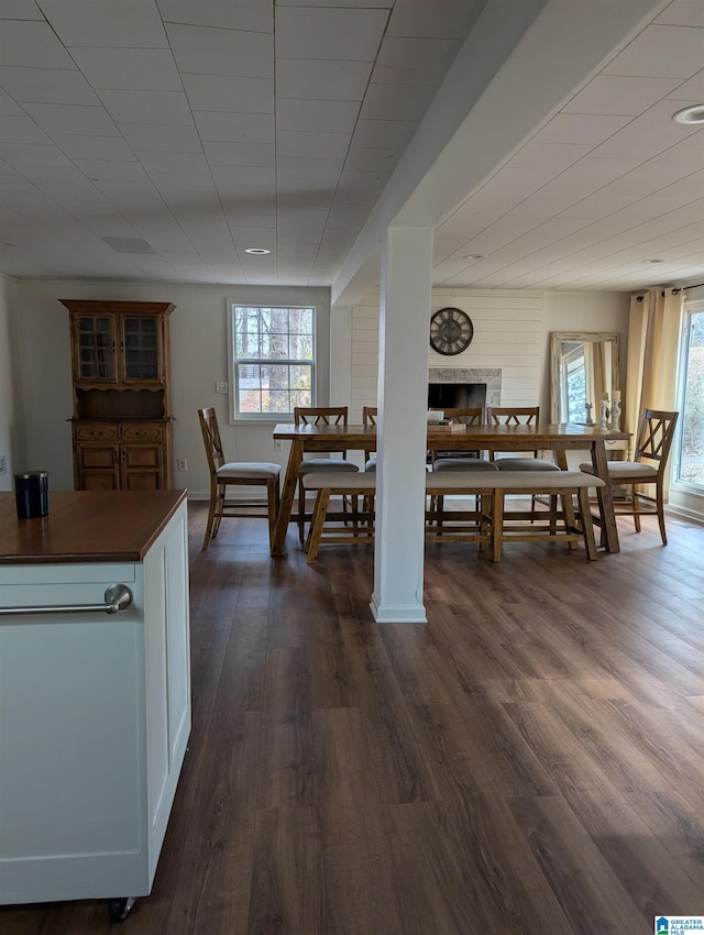 dining space with dark hardwood / wood-style floors and a wealth of natural light