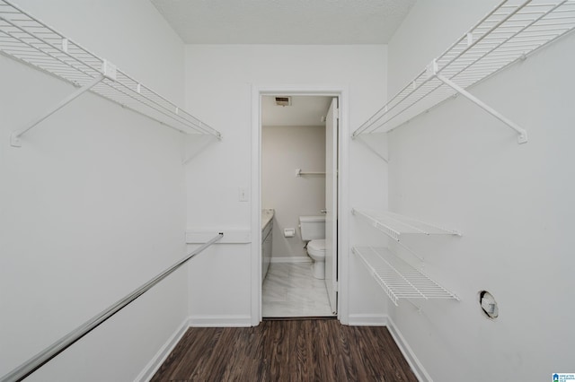 walk in closet with dark wood-type flooring