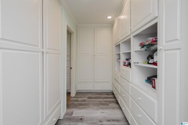 spacious closet with light hardwood / wood-style flooring