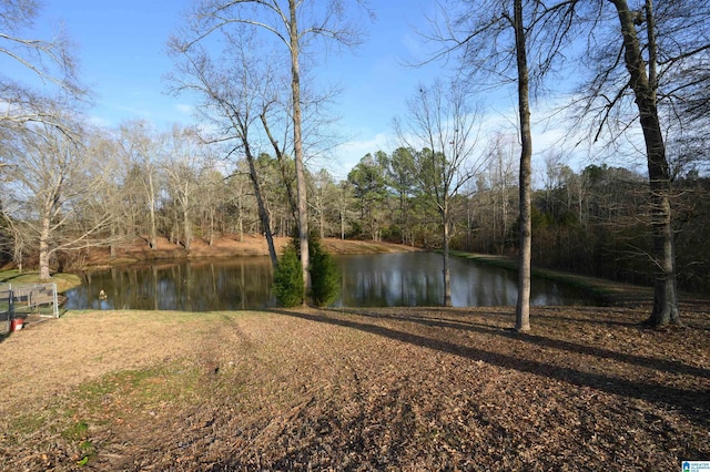 property view of water