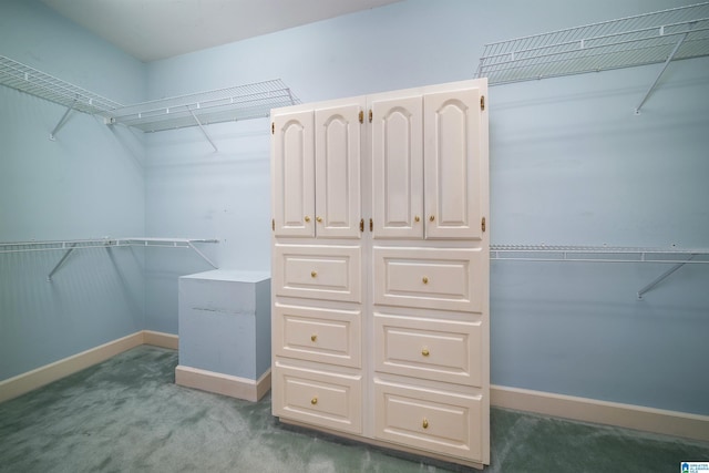 walk in closet featuring light colored carpet