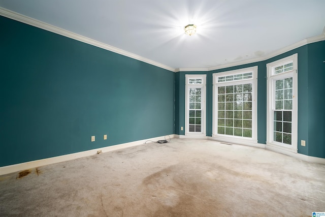 unfurnished room featuring ornamental molding and carpet