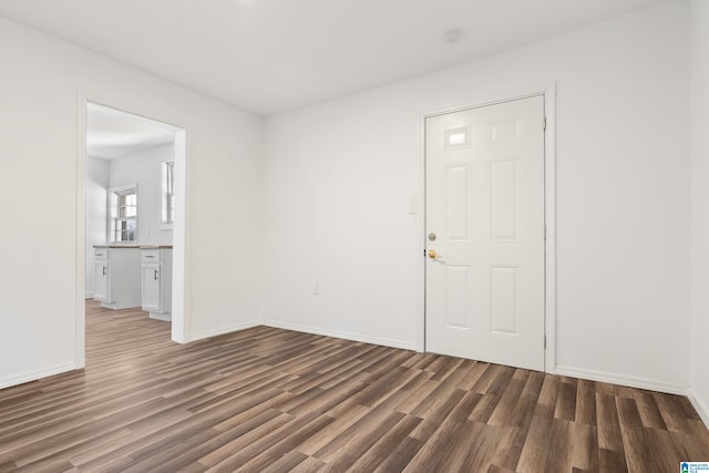 entrance foyer featuring dark wood-type flooring