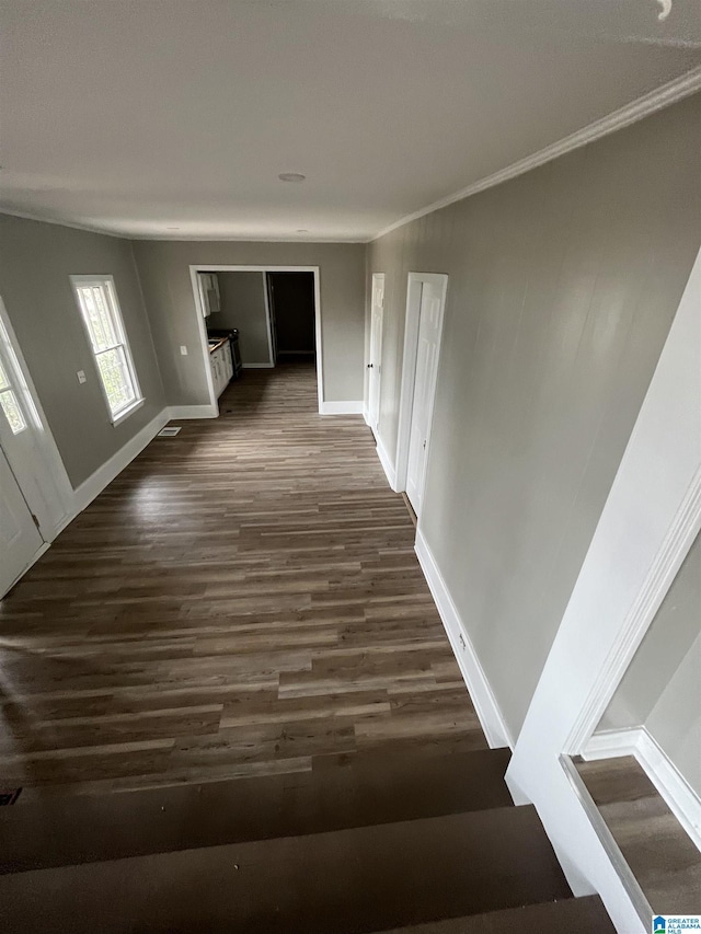 hallway featuring dark wood-type flooring and crown molding