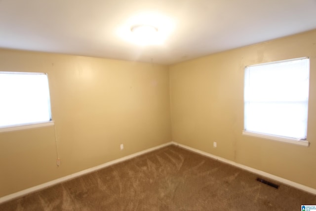 spare room featuring carpet flooring and a wealth of natural light