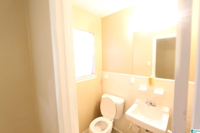 bathroom featuring sink and toilet