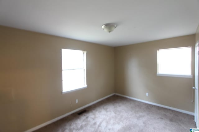 empty room featuring plenty of natural light and light carpet