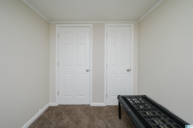 interior space featuring crown molding and carpet