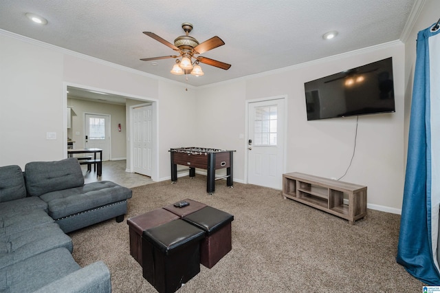 carpeted living room featuring ceiling fan, ornamental molding, and a textured ceiling