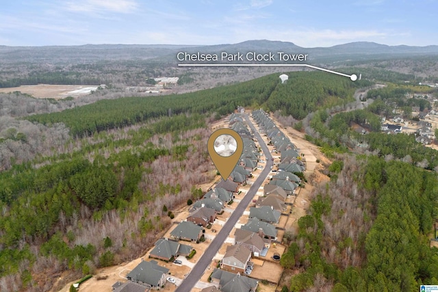 birds eye view of property with a mountain view