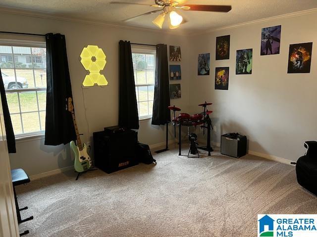 misc room featuring a textured ceiling, ceiling fan, carpet floors, and ornamental molding