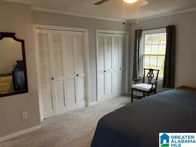 bedroom with ornamental molding, two closets, carpet floors, and ceiling fan