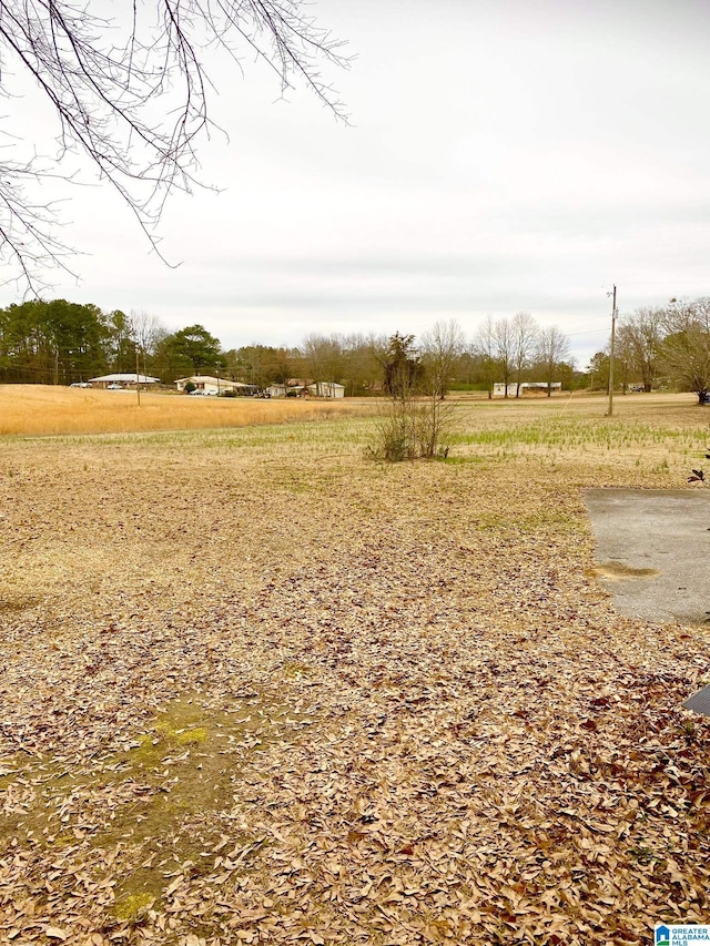 view of yard featuring a rural view