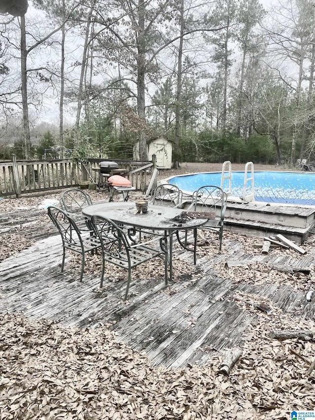 view of swimming pool featuring a storage shed