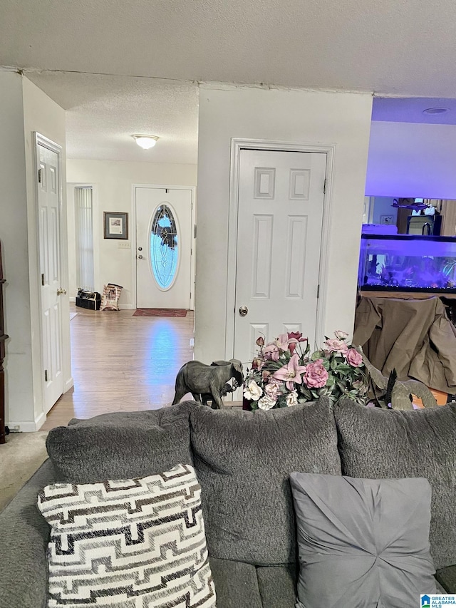 living room featuring hardwood / wood-style flooring and a textured ceiling