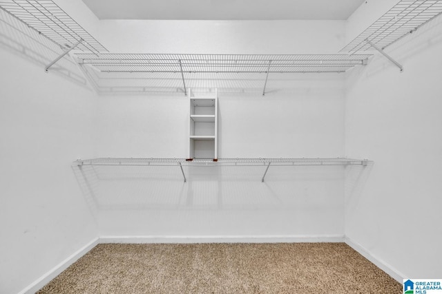 spacious closet with carpet