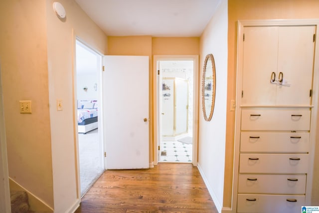 hall featuring wood-type flooring