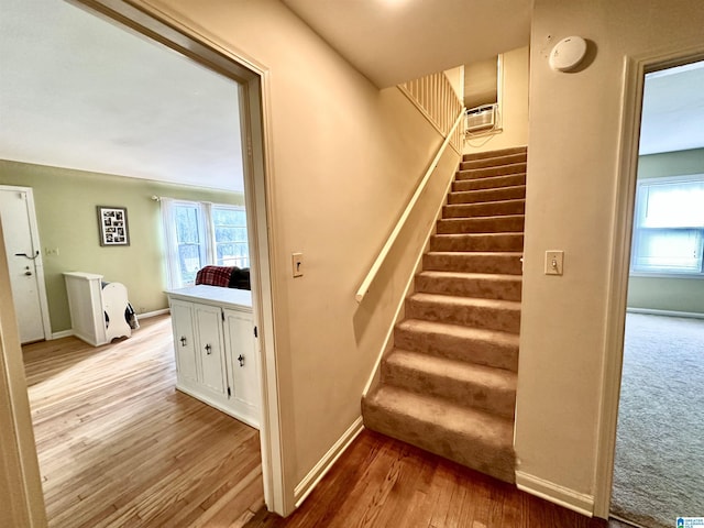 stairs with wood-type flooring