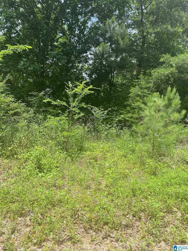 0 Jean Ridge Ln Unit 5, Odenville AL, 35120 land for sale