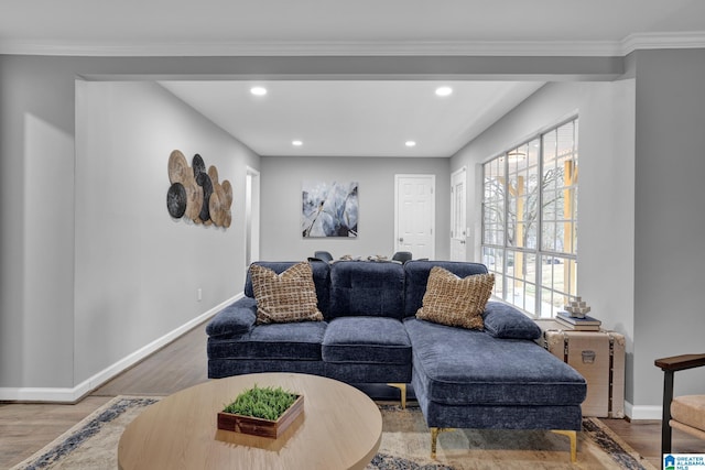 living room featuring hardwood / wood-style flooring and crown molding