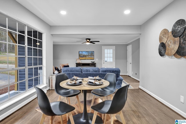 dining room featuring hardwood / wood-style floors, crown molding, and ceiling fan