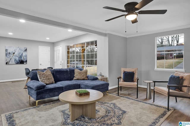 living room featuring ceiling fan, ornamental molding, and wood-type flooring