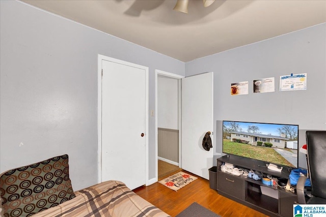 living room featuring hardwood / wood-style floors