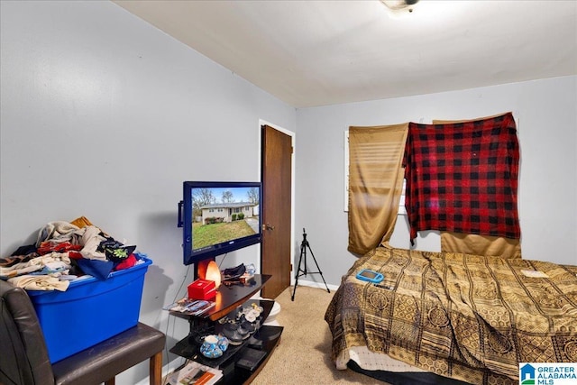 bedroom with carpet floors