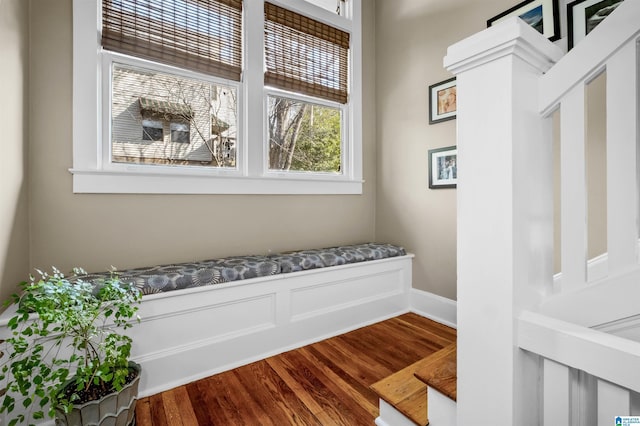 mudroom with wood-type flooring