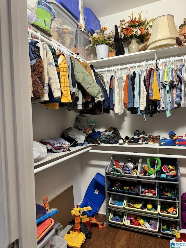 walk in closet featuring hardwood / wood-style flooring