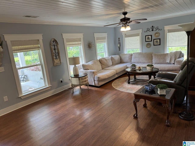 living area with a ceiling fan, dark wood-style flooring, visible vents, and crown molding