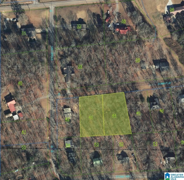 36 Forest Ln Unit 43, Alexandria AL, 36250 land for sale