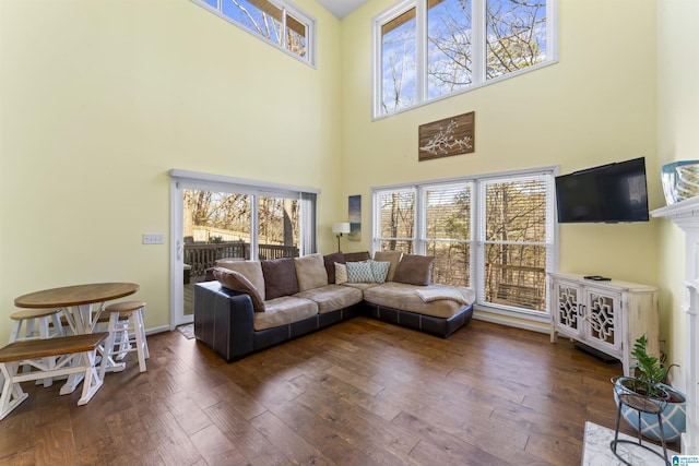 living room with plenty of natural light and dark wood-type flooring