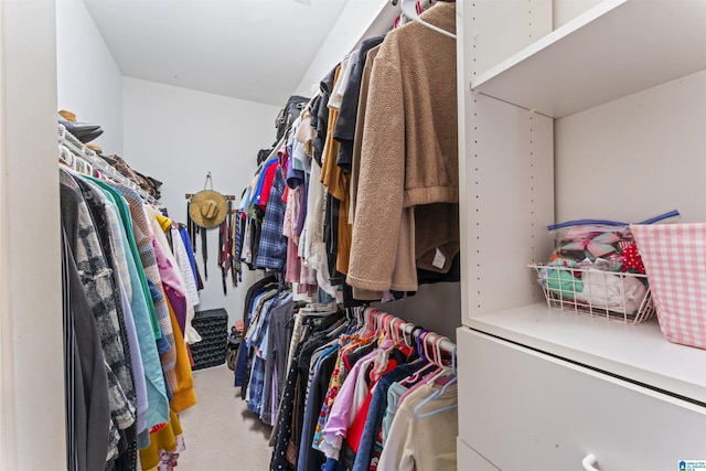 walk in closet featuring carpet floors