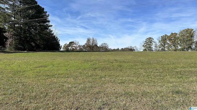 TBD Mount Carmel Rd Unit 1, Falkville AL, 35622 land for sale