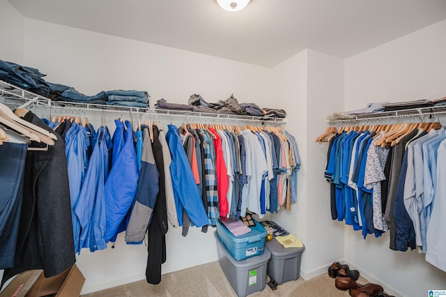 spacious closet with light colored carpet