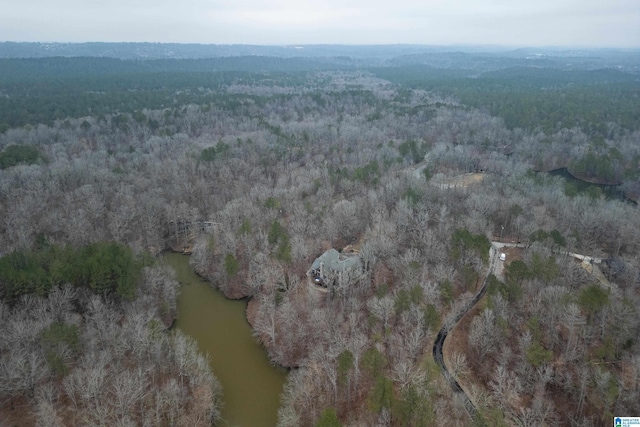 bird's eye view featuring a forest view and a water view