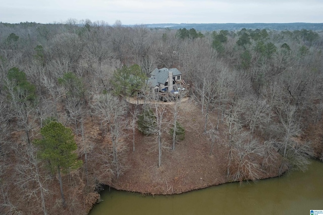 birds eye view of property with a water view and a forest view