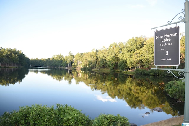 view of water feature with a wooded view