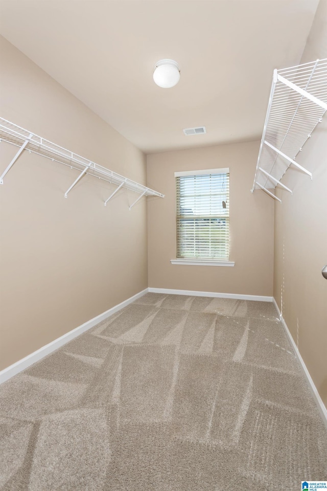 walk in closet with carpet floors