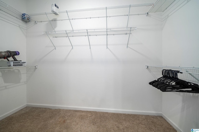 spacious closet with carpet floors