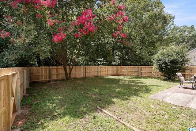 view of yard with a patio