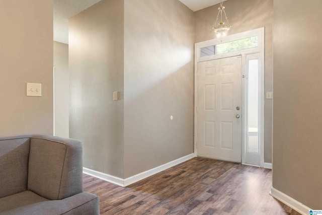 foyer entrance with hardwood / wood-style floors