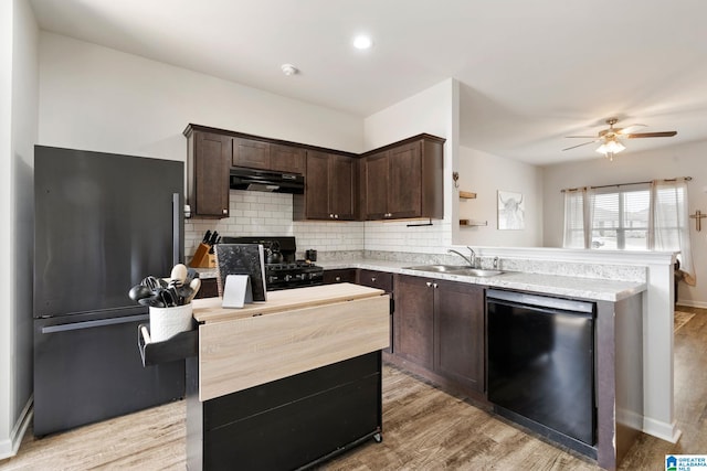 kitchen featuring tasteful backsplash, black appliances, sink, light hardwood / wood-style floors, and dark brown cabinetry