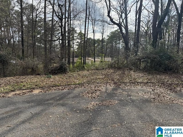 200 Geronimo Cir Unit 55And 56, Montevallo AL, 35115 land for sale