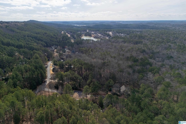 aerial view featuring a mountain view