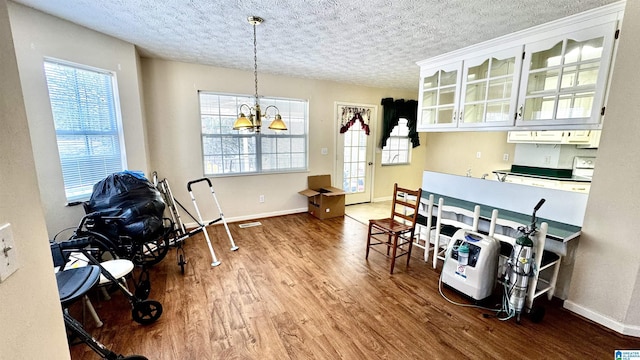 dining room featuring hardwood / wood-style flooring, plenty of natural light, and a textured ceiling