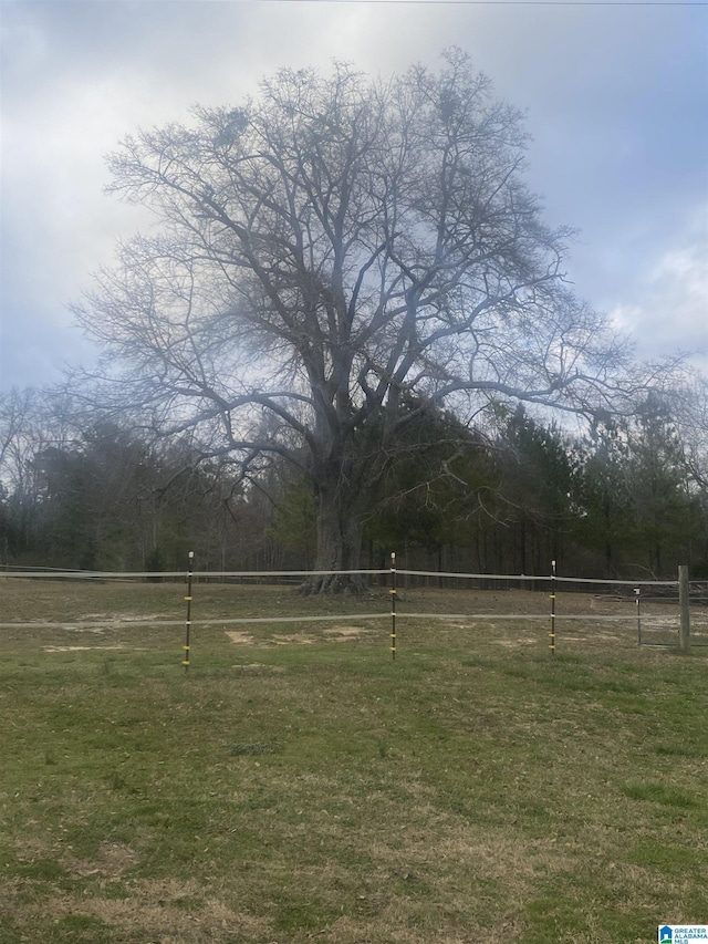 view of yard with a rural view and fence