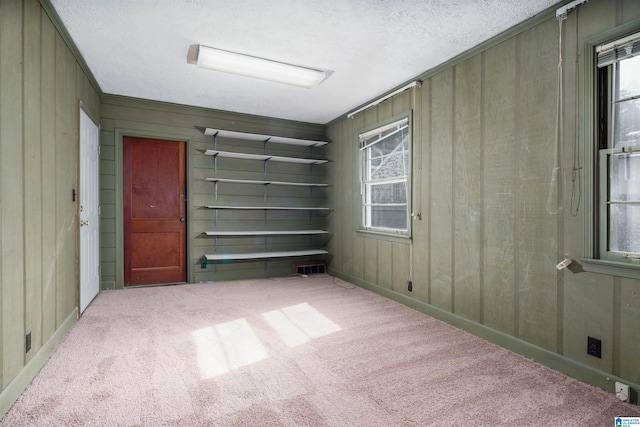 empty room with wood walls, light carpet, and a textured ceiling