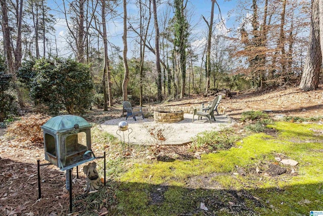 view of yard with a patio area and a fire pit